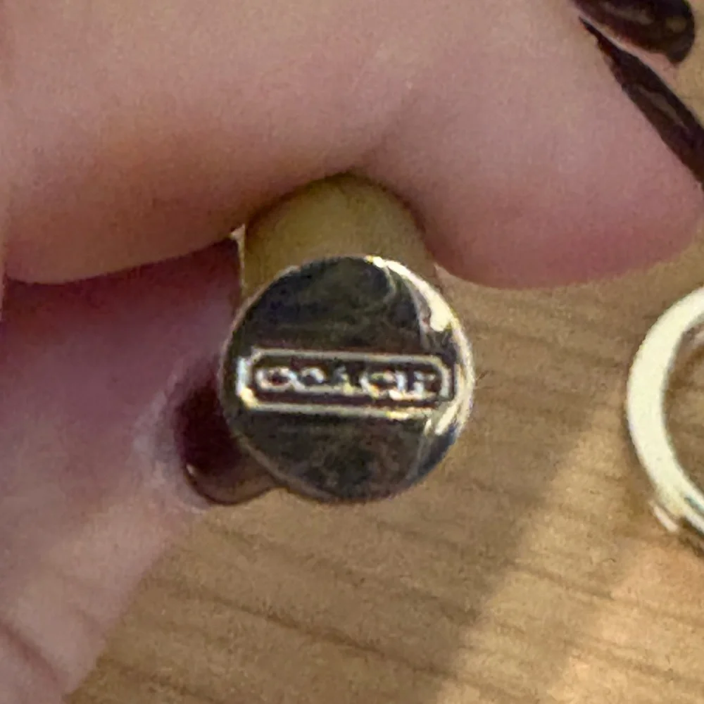 Coach Fruit Charm Keychain with Green Coach Pen